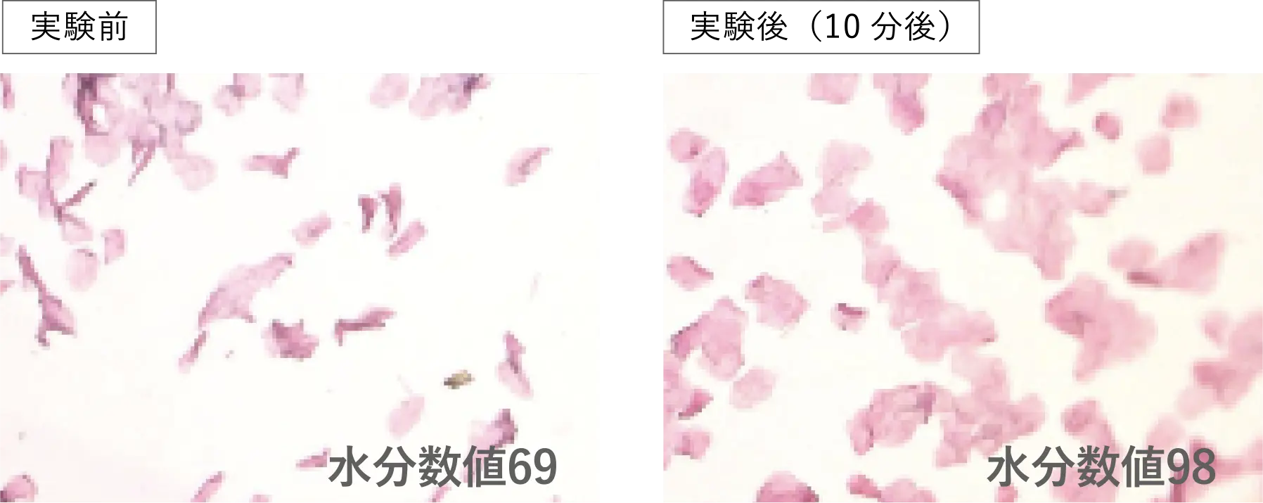 水分数値測定の結果