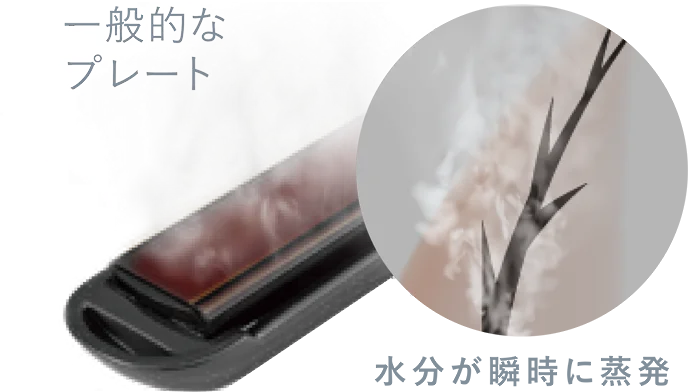 モイスティックプレート